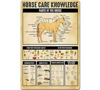 Horse Care Knowledge Retro Vintage Funny 12x16 inchs Indoor Bait Rigging Knowledge Metal Tin Sign Garage Kitchen Decor Bar Pub Club Cafe Home Restaurant Wall Decor Art Sign Post Gifts For Man