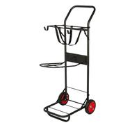 Horse carriage Harry's Horse