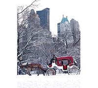 Horse Carriage in Central Park Snow. New York Christmas Cards Boxed Set of 12 Holiday Cards And 12 Envelopes. Made in USA