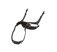 Horse cheek pieces PS of Sweden High Jump