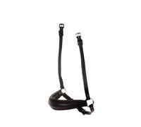 Horse cheek pieces Weatherbeeta Collegiate Mono Crown