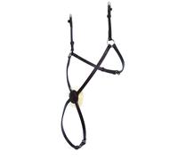 Horse cheek pieces Weatherbeeta Collegiate Mono Crown Grackle