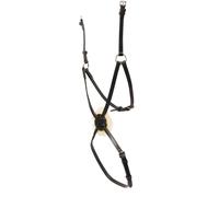 Horse cheek pieces Weatherbeeta Collegiate Mono Crown Grackle