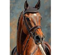 Horse Diamond Art Kits Adults, 5D Full Drill Diamond Painting Animal 30x40 cm DIY Crystal Art Cross Stitch Embroidery Pictures Crafts Gem Sequin Canvas Paintings for Home Wall Decor Gift Women H-559