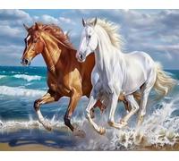 Horse Diamond Art Kits Adults Kids, 24x31 Inch Full Square Drill Beach 5D DY Diamond Painting with Complete Tools, Sparkling Rhinestone Gem Art Crafts Home Wall Decor Fun Craft Gift for Family FC-825