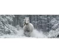 Horse Diamond Art Kits Adults Large 5D Winter Forest Diamond Painting Kits, DIY Full Drill Crystal Art Rhinestone Embroidery Cross Stitch Arts and Crafts for Adults 31.5x11.8 Inch/80x30 cm -LR538