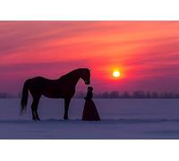 Horse Diamond Painting Sunset Diamond Art Kits Adults, 5D Full Drill Sequin Art Kits, DIY Rhinestone Embroidery Crystal Cross Stitch Arts and Crafts Paintings, Christmas Home Decor Gifts 24x36in X-490
