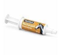 Horse Electrolyte Paste Syringe | Fast-Acting Equine Electrolyte Formula for Rehydration & Recovery | Restores Energy, Salts & Minerals After Exercise | RechargeR by VetSet (30 ml, Pack of 1)