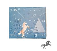 Horse Falling Calendar 2025, Fun Equestrian Christmas Countdown Blind Box, Winter Sky Design Horse Countdown Calendars 24 Days Horse Different Illustration Calendar, Horse lovers Gift (White)