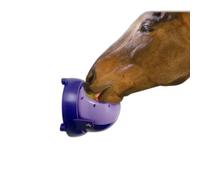 Horse feeder Likit Tongue Twister