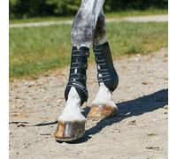 Horse gaiters for dressage Weatherbeeta Hard Shell