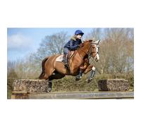Horse gaiters LeMieux Carbon Air XC