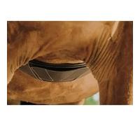 Horse girth Norton Magnet