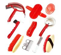 Horse Grooming Kit Set, Equine Cleaning Tool Collection, Horse Brushes for Grooming Accessory, Usage Guide Overview, Women Men Teens Youth Son Daughter Family Home Outdoor Yard