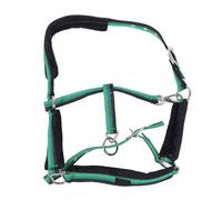 Horse Halter Adjustable Heavy Duty Nylon Padded Anti Rubbing Chin and Throat Snap Hook Halter for Horse (L)