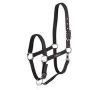 Horse Halter for Goleygo System, Black/Fuchsia, Shetty