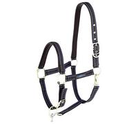 Horse Halter for Goleygo System, Brown/Light Blue, X-Full
