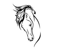 Horse Head Sketch Reusable Stencil Big Sizes Kids Room Funny Modern / Animal146 (PVC Reusable Stencil, M Size - 100 x 140 cm, 39.4 x 55.1 in)