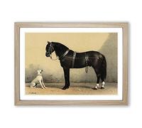 Horse & Hound by Emil Volkers Framed Print | A2 Oak Framed Wall Art | Ready to Hang | Modern Animal Picture | Living Room Bedroom Lounge Office
