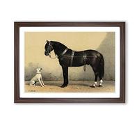Horse & Hound by Emil Volkers Framed Print | A2 Walnut Framed Wall Art | Ready to Hang | Modern Animal Picture | Living Room Bedroom Lounge Office