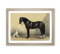 Horse & Hound By Emil Volkers Vintage Framed Print | A3 Oak Framed Wall Art | Ready to Hang | Classic Animal Picture | Living Room Bedroom Lounge Office