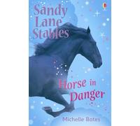 Horse in Danger (Sandy Lane Stables)