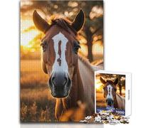 Horse in Savanna 1000 Pieces Puzzles for Adults Interactive Educational Skill Game Great Meaningful Gift Idea Size 50x75cm
