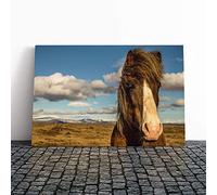 Horse in The Field Landscape Canvas Print | Gallery Wrapped 30mm Frame Wall Art | 20x14 inches | Ready to Hang | Modern Animals Picture | Living Room Bedroom Lounge Office