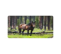 Horse in The Rain Forests Non-Slip Mouse Pads Square Desk Mat Rubber Gaming Mousepad 30x60cm