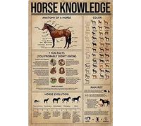 Horse Knowledge Wall Decor Less Poster Horse Anatomy Colors Identification Chart Home Decor Animal Pictures Prints Man Cave Bedroom Wall Decor Posters Funny Vintage Metal Sign Poster 8X12 Inches