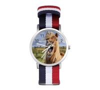 Horse Laughing Casual Watch for Men Women Braided Strap Watches Three-Hand Wrist Gift