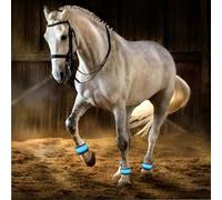 Horse Leg Bands - Adjustable with High Visibility - Horse Leg Straps with LED Lighting,for Course Ranch Grassland Equestrian Night Riding Parades Farm Lawn Stables