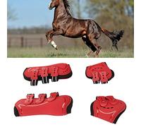 Horse Leg Boots Breathable Soft Non-Slip Impact Absorbing for Jumping Training Red 2 Pack (Large (21.65x14.96x0.39in))