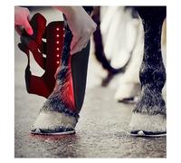 Horse Leg Therapy Kit, LED Red Light Therapy For Horse Muscle Recovery, For Horse Leg Pain