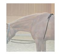 Horse longe reining Kavalkade HO