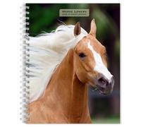 Horse Lovers 2025 6 x 7.75 Inch Spiral Bound Wire-O Weekly Engagement Planner Calendar New Full-Colour Image Every Week