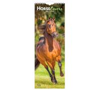 Horse Lovers | 2027 5.7 x 16.5 Inch (Hanging) Monthly Slimline Wall Calendar | BrownTrout | Animals Equestrian
