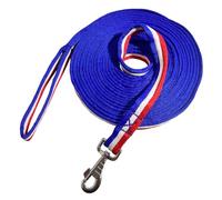 Horse Lunge Line, 26 ft / 8m, Flat Lunge Line with Heavy Duty Swivel Snap for Horses Daily Training | Durable Equestrian Lunge Rope for Lunging, Ground Work (Blue&White&Red)