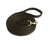 Horse Lunge Line/Large Dog Lead Leash 25mm Cushioned/Padded Air Webbing Strong Very Soft Durable Solid Brass Trigger Clip Made In The UK By Church Products UK® (20ft Brown)
