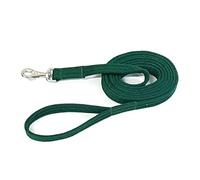 Horse Lunge Line/Large Dog Training Walking Lead Leash 25mm Padded Air Webbing Strong Very Soft Durable (30ft, 9 Metres) (Forest Green)