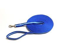 Horse Lunge Line/Large Dog Training Walking Lead Leash 25mm Padded Air Webbing Strong Very Soft Durable (30ft, 9 Metres) (Royal Blue/Sky Blue)