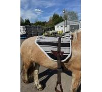 Horse Master New Bareback Pad with Free Girth and Stirrups for Horse, Non Slip Sale, Made from Anti Slip Micro Suede, Available in Three Color Comfortable Tack Equipment, Safe (Grey)