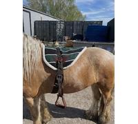 Horse Master New Bareback Pad with Free Girth and Stirrups for Horse, Non Slip Sale, Made from Anti Slip Micro Suede, Available in Three Color Comfortable Tack Equipment, Safe (Deep Green)