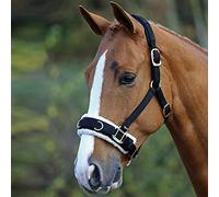 Horse Master Padded Headcollar Halter - Flexible Lunging Cavesson with Comfortable Fleece Lining and Adjustable Buckle Closure - Elegant Stable Accessories and Equipment (Cob, Black)