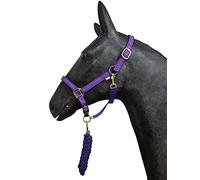 HORSE MASTER Padded Headcollar Lead Rope - Comfortable Stylish Horse Printed Halter with Detachable Leadrope - Stable Yard Equipment for Pony Cob Full and Shetland, Purple