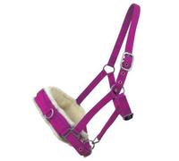 Horse Master Padded Horse Headcollar Halter - Flexible Adjustable Lunging Cavesson with Comfortable Fleece Lining and Buckle Closure - Elegant Stable Yard Accessories and Equipment Headcollar Pony
