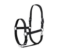 Horse Masters Best On Horse Equestrian Padded Adjustable Plain Headcollar (Black, Full)
