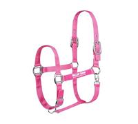 Horse Masters Best On Horse Equestrian Padded Adjustable Plain Headcollar (Pink, Cob)