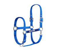Horse Masters Best On Horse Equestrian Padded Adjustable Plain Headcollar (Royal Blue, Cob)