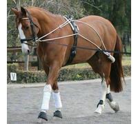 Horse Masters Equestrian Pessoa Style Pulley Rope Schooling Lunging System Training Aid